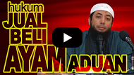 Hukum Jual Beli Ayam Aduan - DR Khalid Basalamah MA